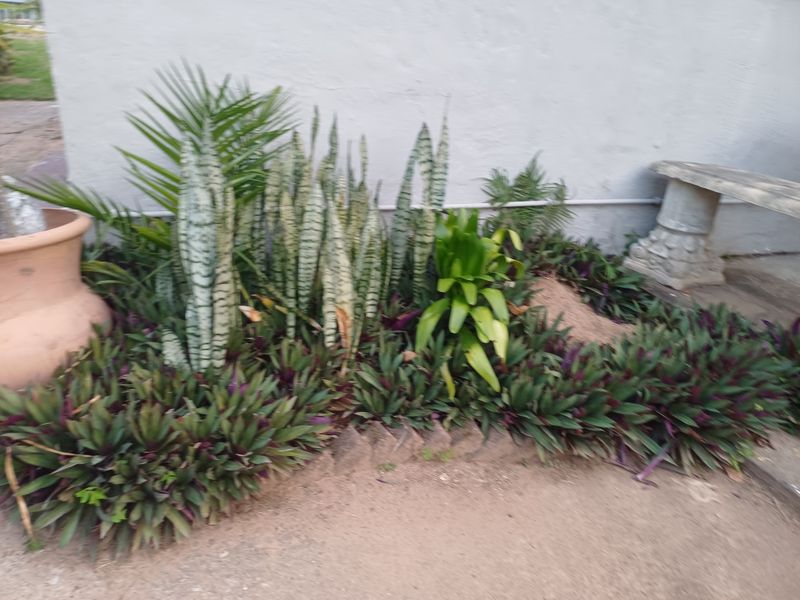 A landscaped garden bed featuring various plants, a stone bench, and an exterior wall of the cottage.