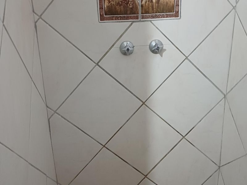 A shower enclosure featuring diamond-patterned wall tiles, a decorative animal-themed tile inlay, and mosaic floor tiling, currently requiring a new shower head installation.