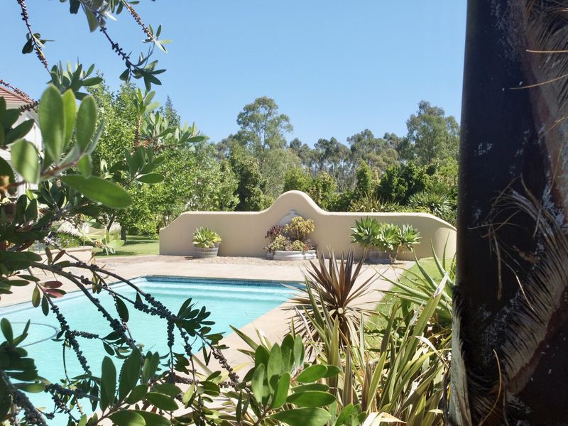 A serene outdoor pool area featuring a paved surround and a decorative boundary wall, set within a lush, landscaped garden environment.