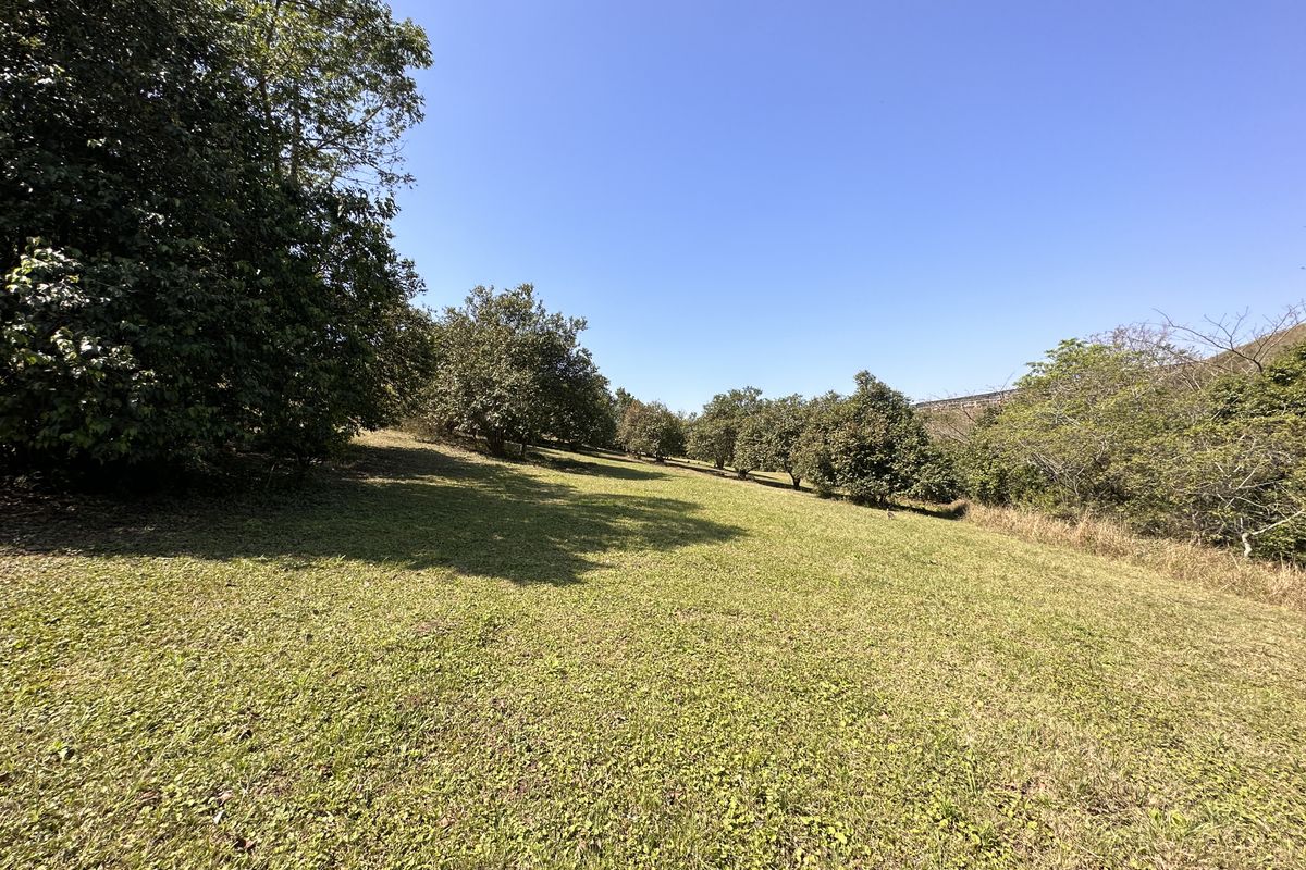 Price slased to sell today! - Photo 3