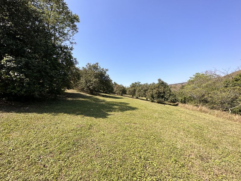 Price slased to sell today! - Photo 3