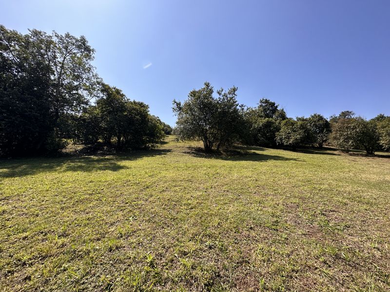 Price slased to sell today! - Photo 10