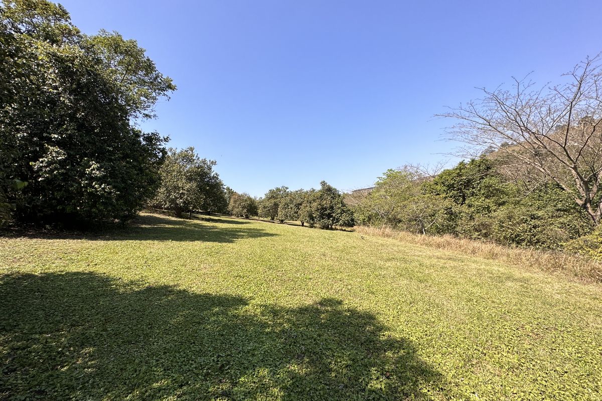 Price slased to sell today! - Photo 5