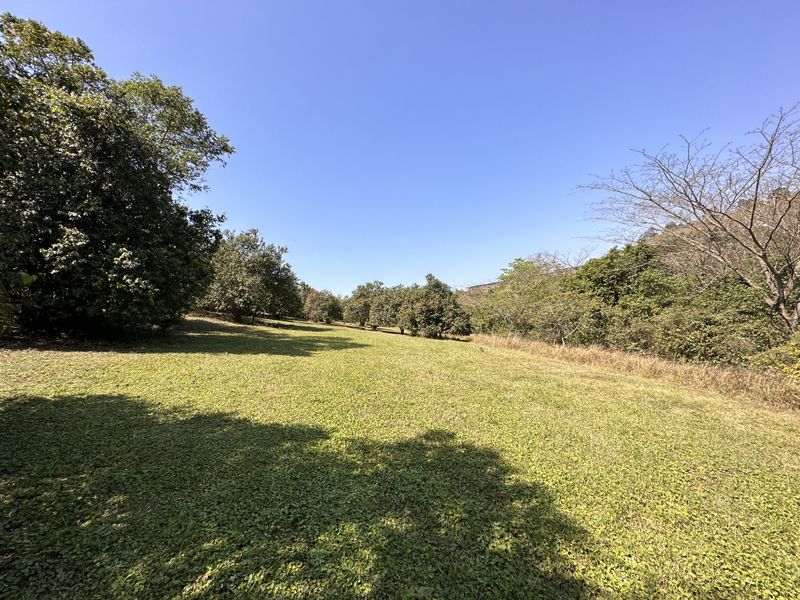 Price slased to sell today! - Photo 5