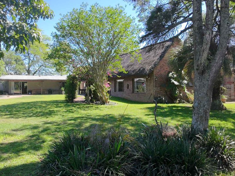 4.7 ha Smallholding for Sale in Thornville | Space, Position & Work-from-Home Potential - Photo 2