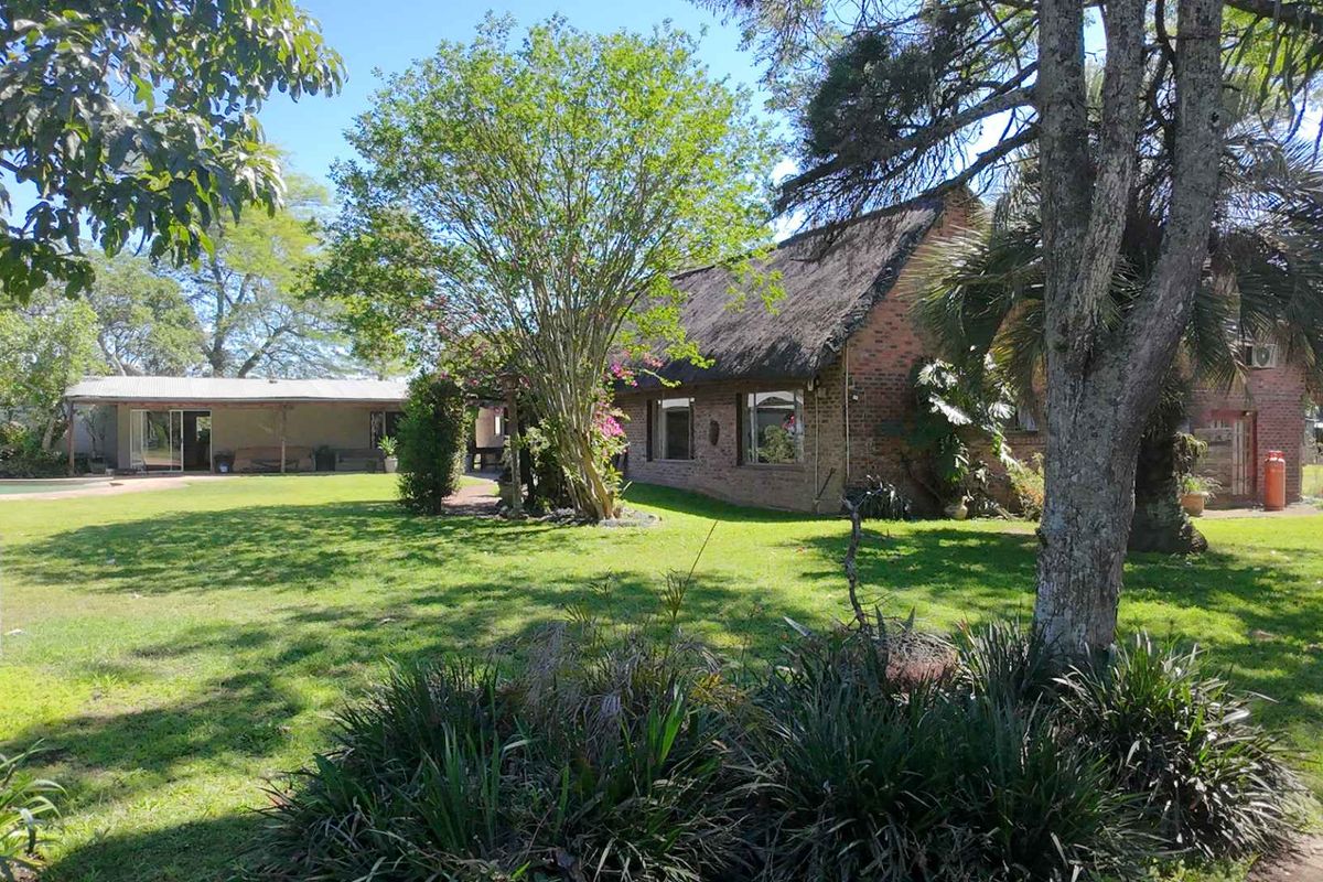 4.7 ha Smallholding for Sale in Thornville | Space, Position & Work-from-Home Potential - Photo 2