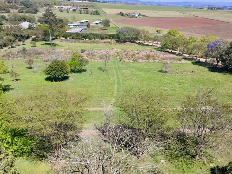 4.7 ha Smallholding for Sale in Thornville | Space, Position & Work-from-Home Potential - Photo 5