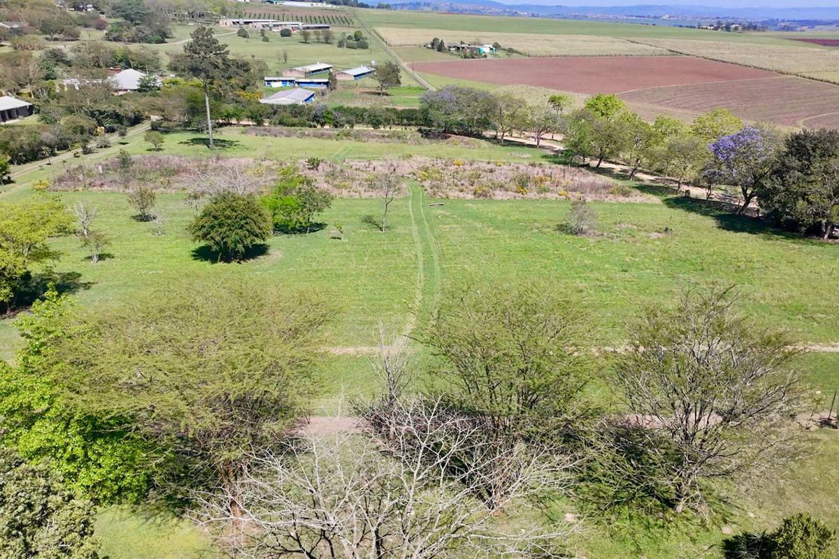 4.7 ha Smallholding for Sale in Thornville | Space, Position & Work-from-Home Potential - Photo 5