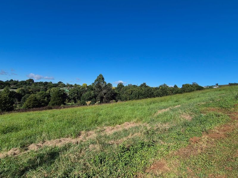 Build Your Dream Home in the Heart of St John’s Village - Photo 4