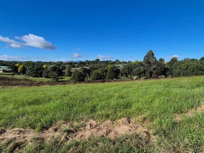 Build Your Dream Home in the Heart of St John’s Village - Photo 5