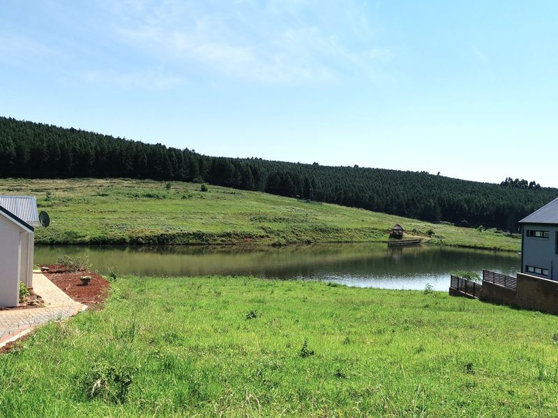 Build Your Dream Home in the Heart of St John’s Village - Photo 6