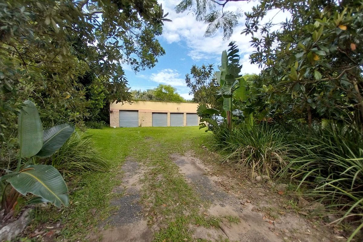 Smallholding for Sale – Peaceful Property with 2 Homes in Shelly Beach - Photo 4