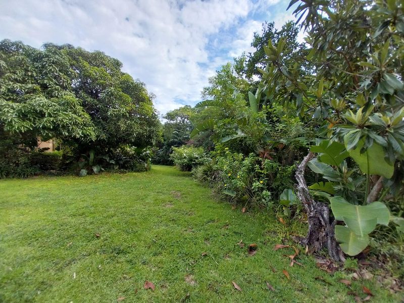 Smallholding for Sale – Peaceful Property with 2 Homes in Shelly Beach - Photo 3