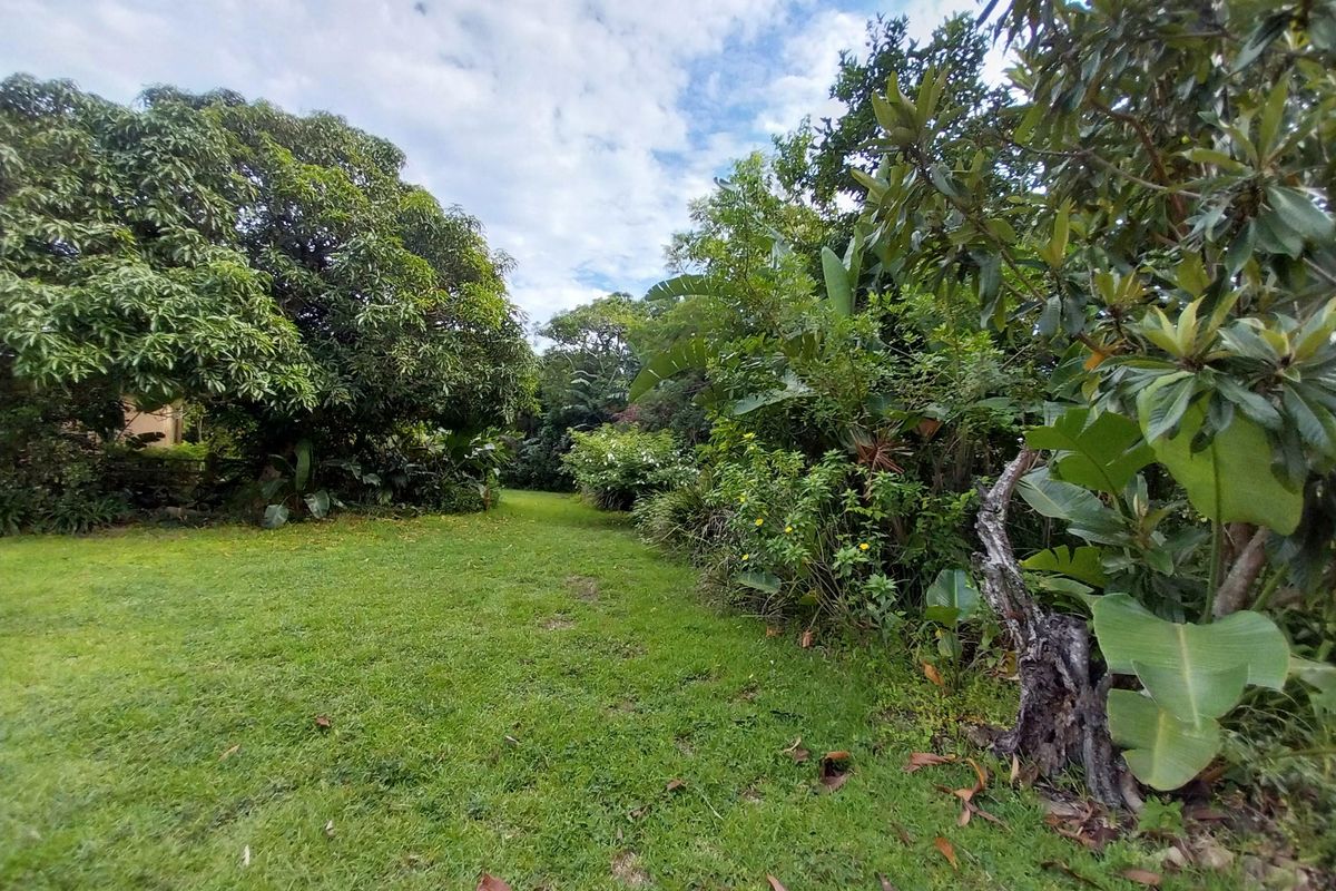 Smallholding for Sale – Peaceful Property with 2 Homes in Shelly Beach - Photo 3