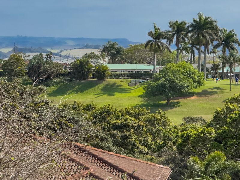 A scenic elevated view overlooking a lush green golf course landscape with mature palm trees and distant rolling hills.