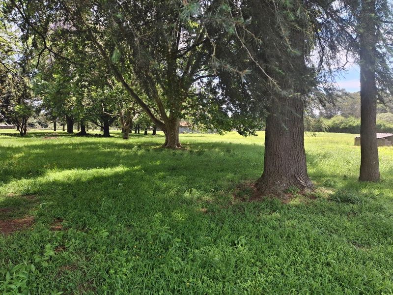 Lifestyle property within a short distance of Howick - Photo 10