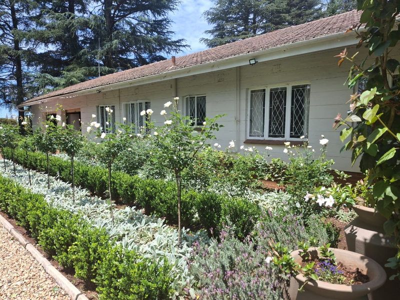 Lifestyle property within a short distance of Howick - Photo 9