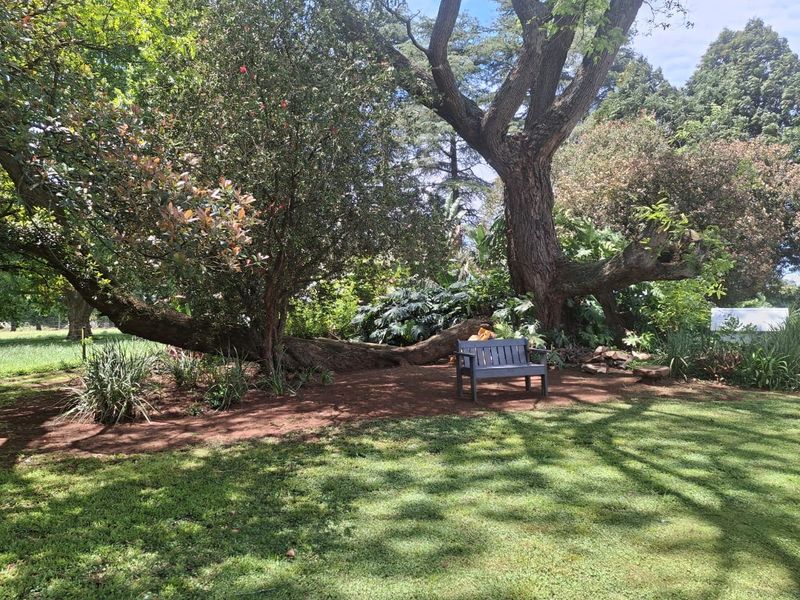 Lifestyle property within a short distance of Howick - Photo 8