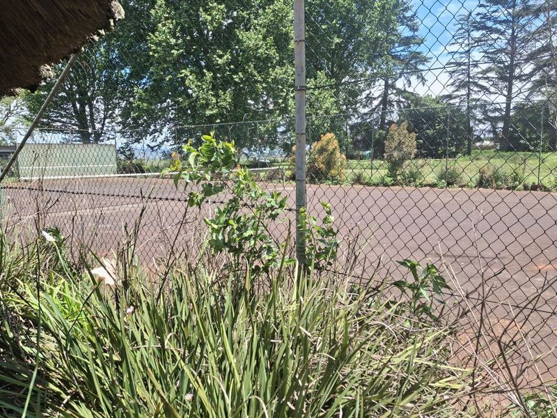 Lifestyle property within a short distance of Howick - Photo 6