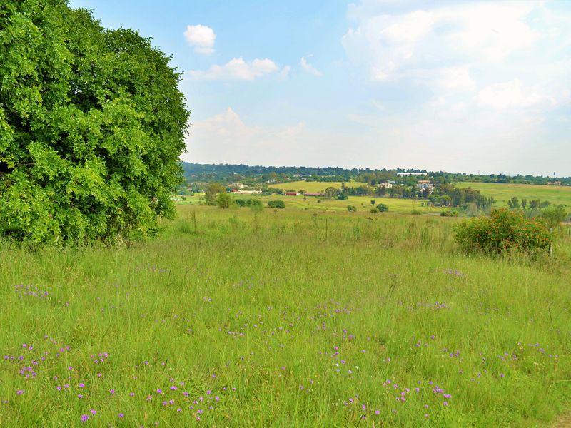 A scenic view of the vacant residential land featuring natural grass, mature trees, and distant landscape vistas.