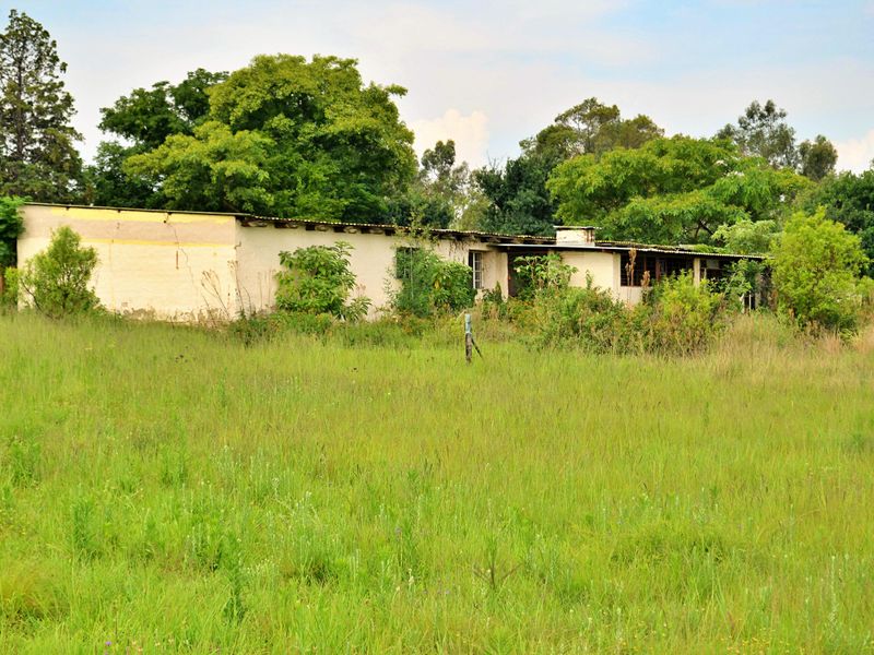 A view of the rear elevation of a single-story residential structure situated on a large, overgrown plot of land.