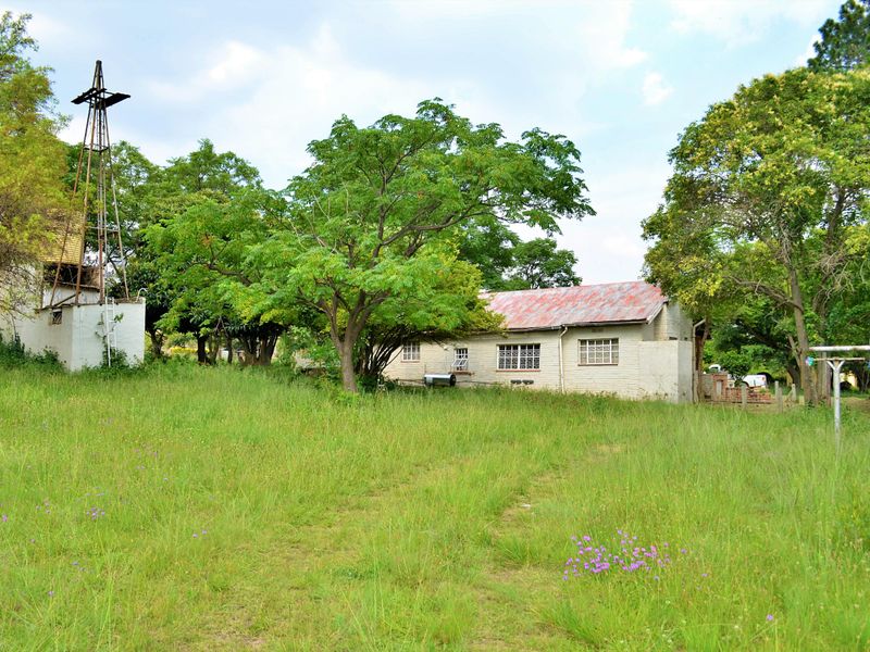 A view of the rear of the property featuring a rustic dwelling with a metal roof, a windmill, and a large, overgrown garden area.
