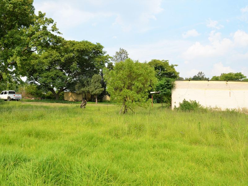 A view of a large, overgrown residential plot featuring mature trees and a small, weathered outbuilding in need of maintenance.
