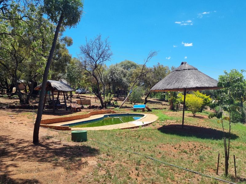 Outdoor pool area featuring a swimming pool with brick coping and a thatch gazebo set within a large, natural garden space.