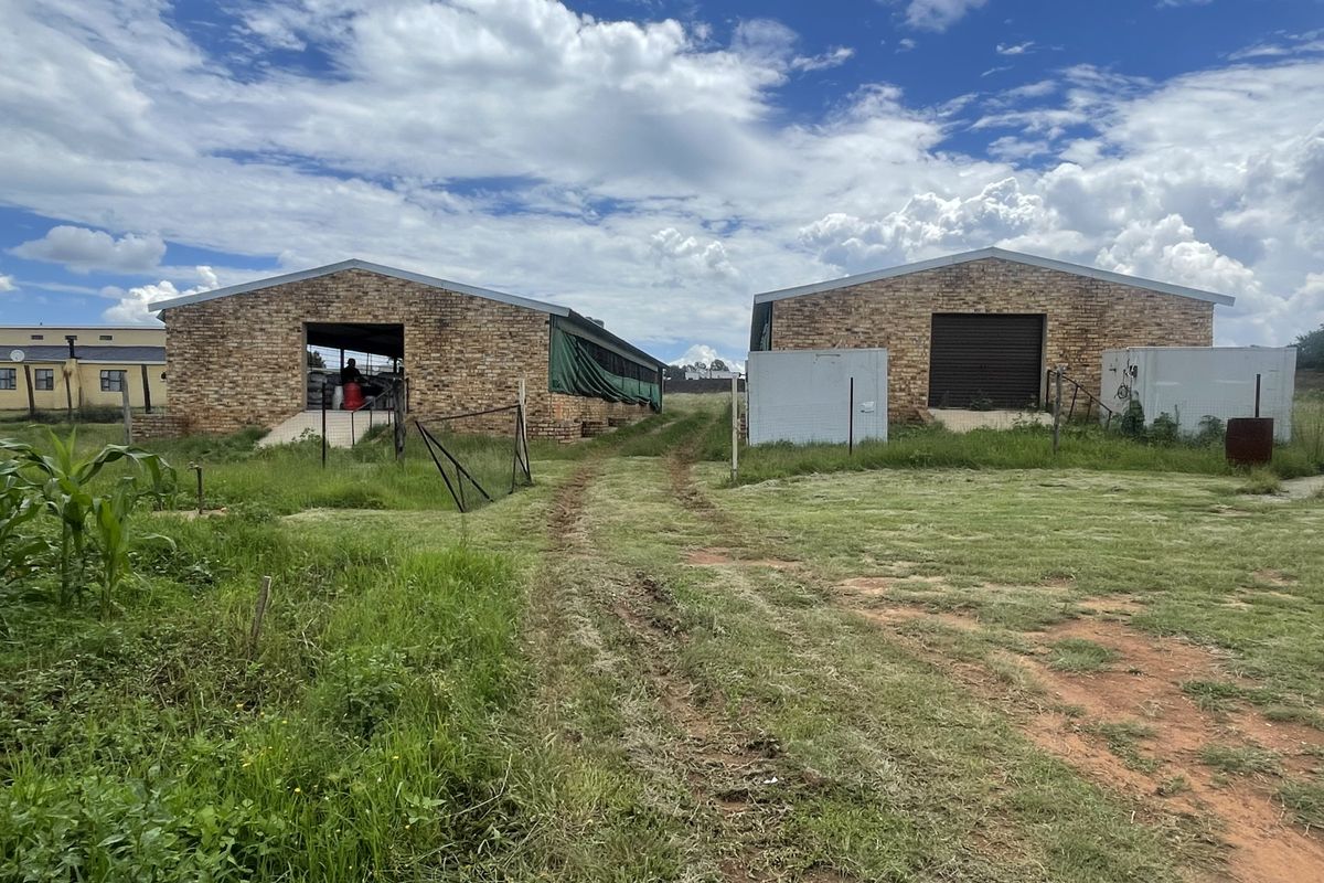 Exceptional Smallholding: 2x3000 Chicken Runs, Spacious Family Home, Loft & 2 Cottages - Photo 2