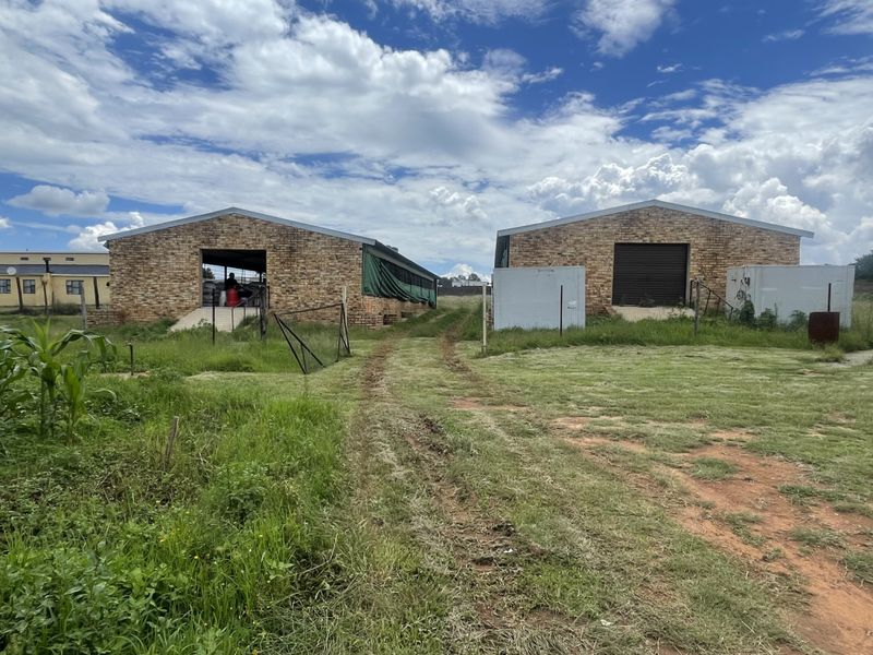 Exceptional Smallholding: 2x3000 Chicken Runs, Spacious Family Home, Loft & 2 Cottages - Photo 2