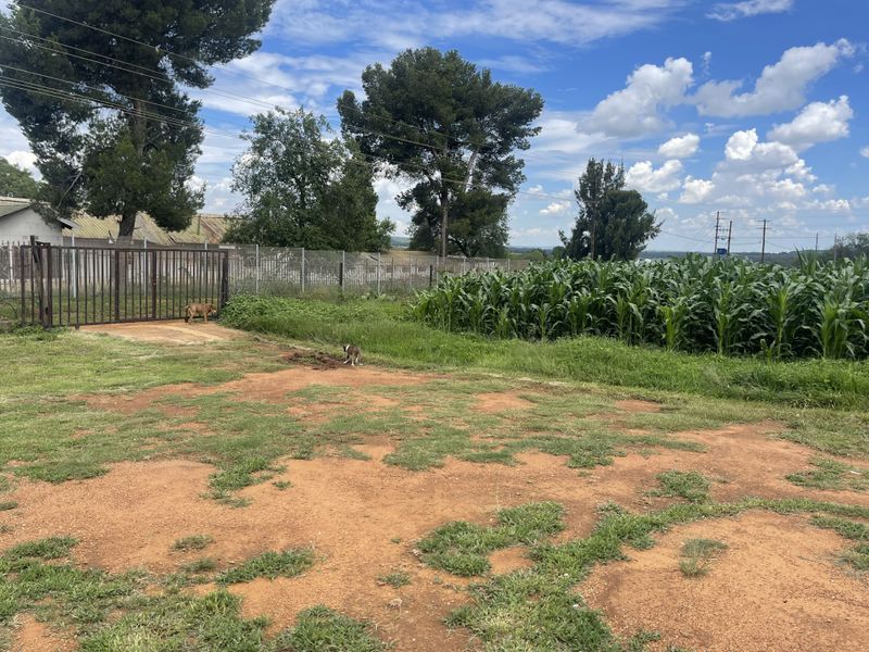 Exceptional Smallholding: 2x3000 Chicken Runs, Spacious Family Home, Loft & 2 Cottages - Photo 7