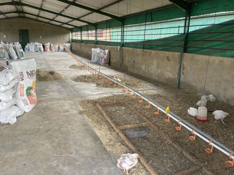 Exceptional Smallholding: 2x3000 Chicken Runs, Spacious Family Home, Loft & 2 Cottages - Photo 6