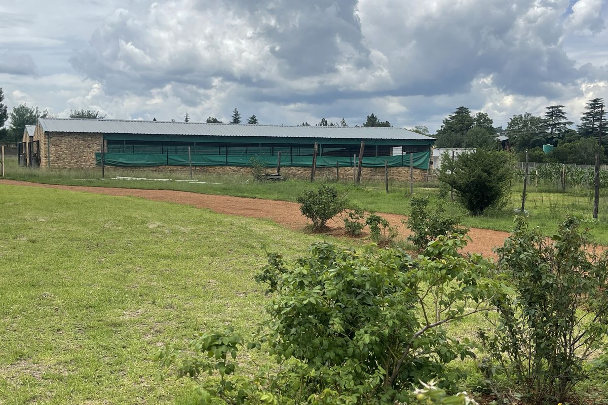 Exceptional Smallholding: 2x3000 Chicken Runs, Spacious Family Home, Loft & 2 Cottages - Photo 5