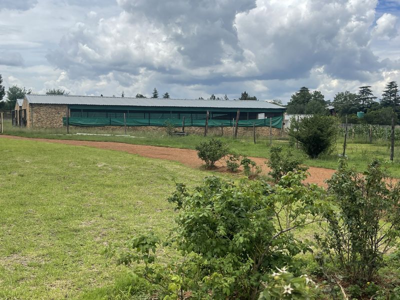 Exceptional Smallholding: 2x3000 Chicken Runs, Spacious Family Home, Loft & 2 Cottages - Photo 5