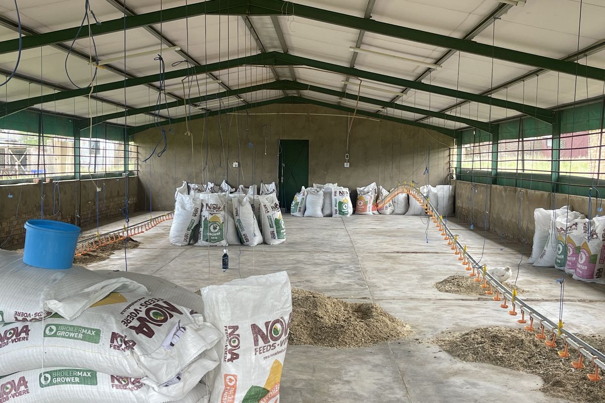 Exceptional Smallholding: 2x3000 Chicken Runs, Spacious Family Home, Loft & 2 Cottages - Photo 3