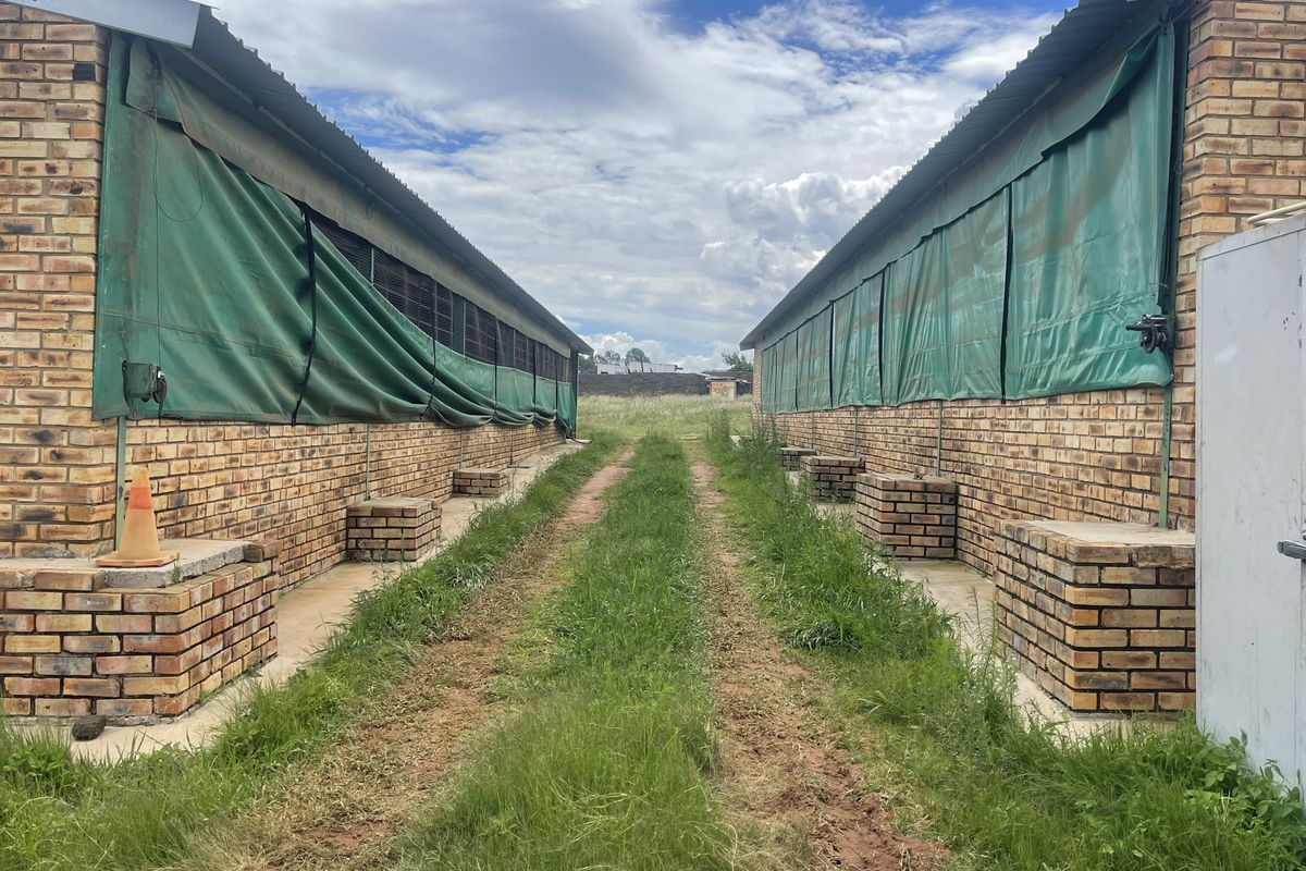 Exceptional Smallholding: 2x3000 Chicken Runs, Spacious Family Home, Loft & 2 Cottages - Photo 4