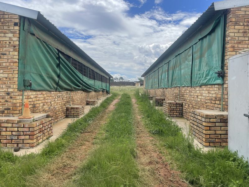 Exceptional Smallholding: 2x3000 Chicken Runs, Spacious Family Home, Loft & 2 Cottages - Photo 4