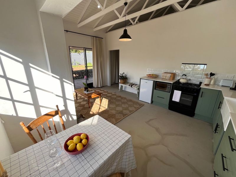 Bright open-plan living and kitchen area featuring exposed rafters, modern green cabinetry, gas stove, and direct access to an outdoor patio.