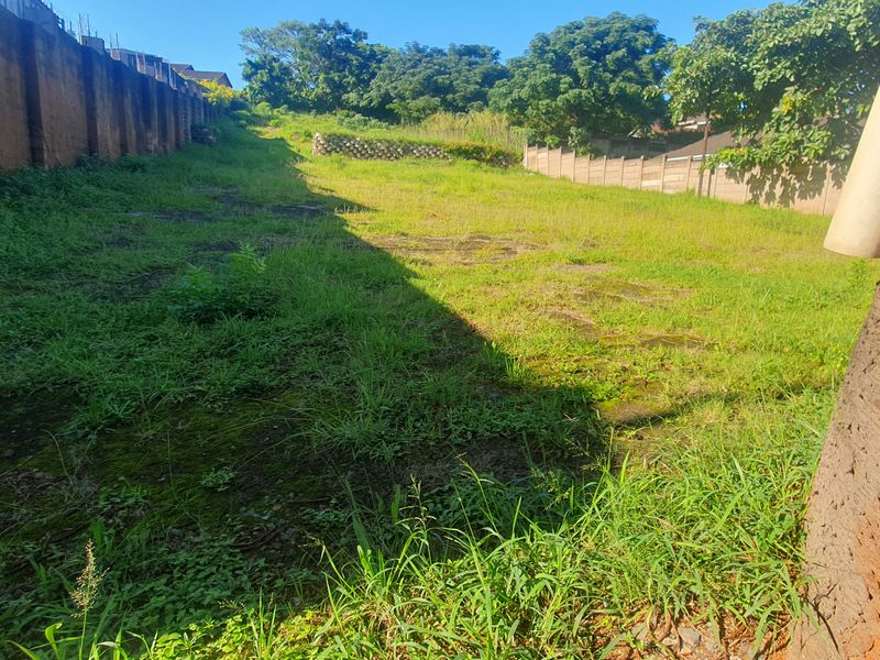 Bluff Development Opportunity - Photo 5