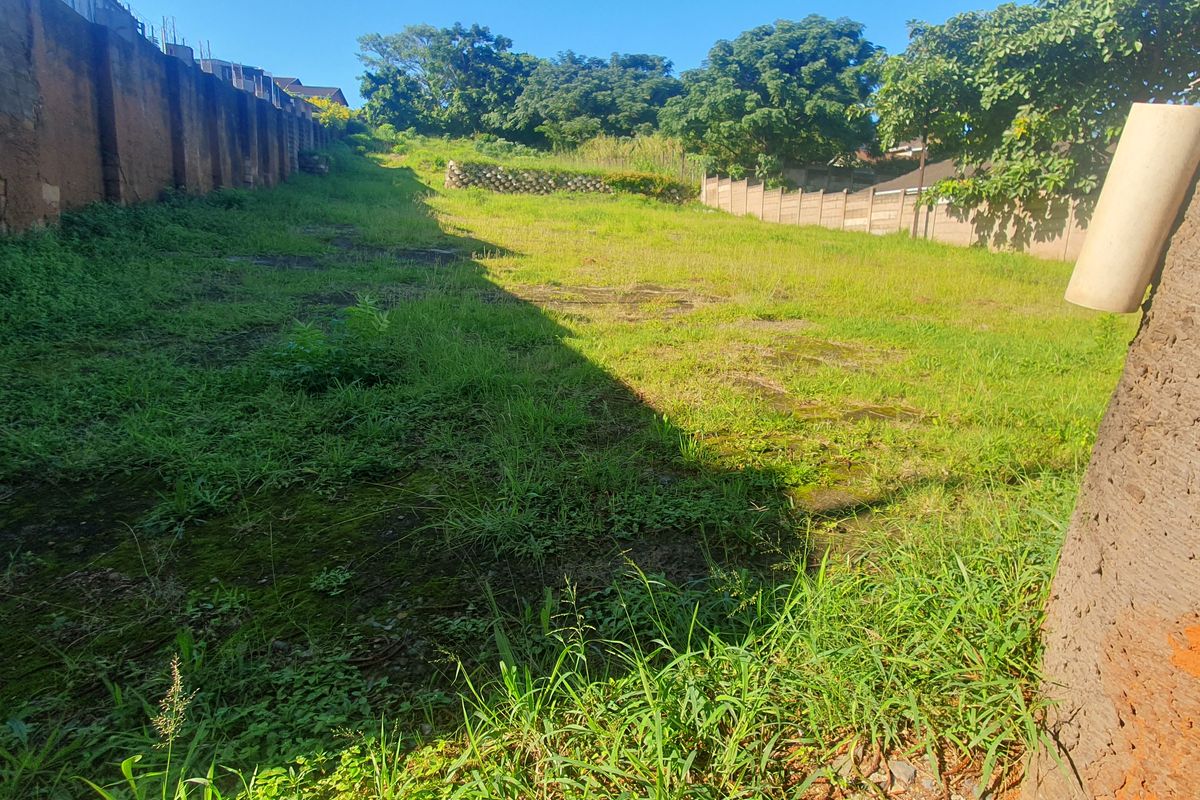 Bluff Development Opportunity - Photo 5