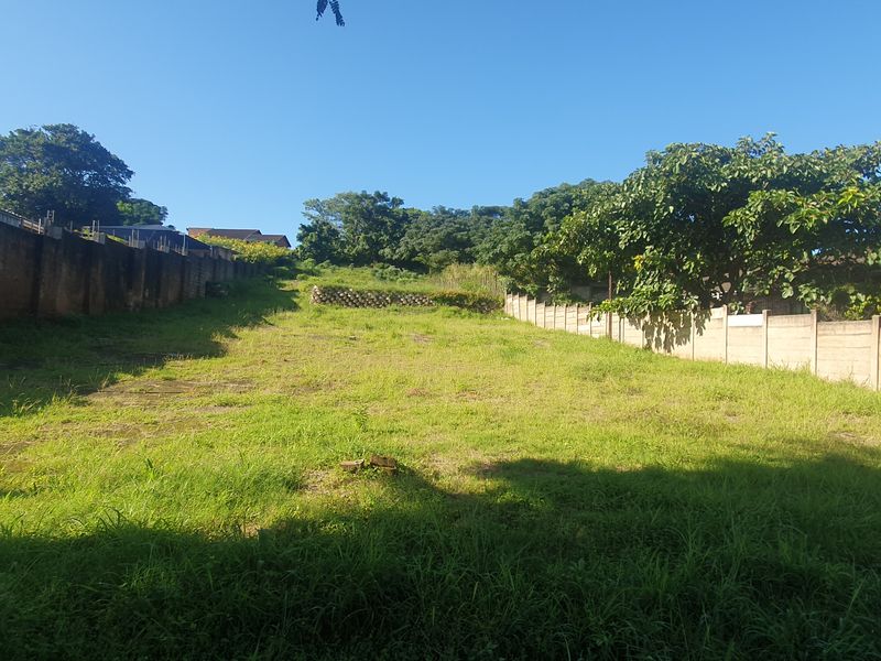 Bluff Development Opportunity - Photo 8