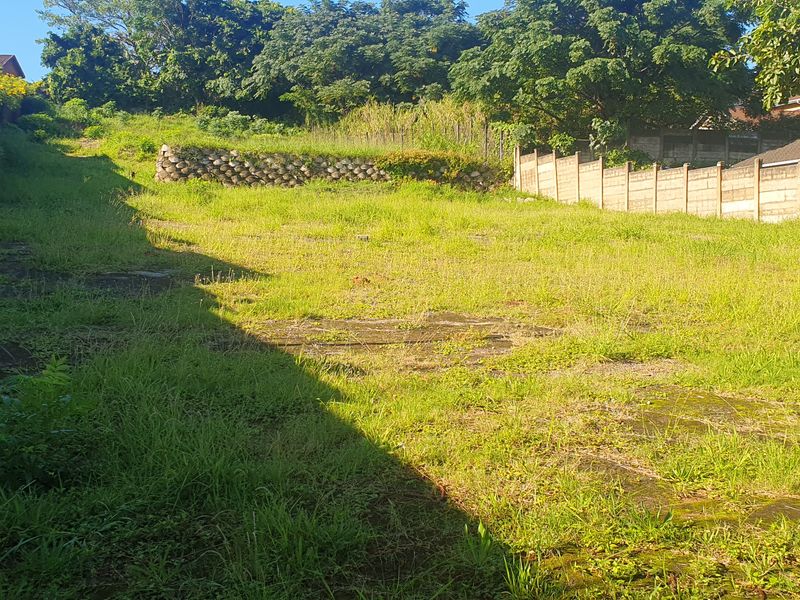 Bluff Development Opportunity - Photo 4