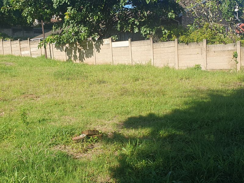 Bluff Development Opportunity - Photo 7