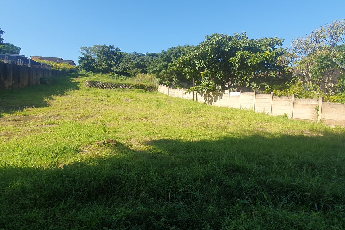 Bluff Development Opportunity - Photo 5