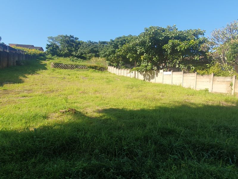 Bluff Development Opportunity - Photo 5