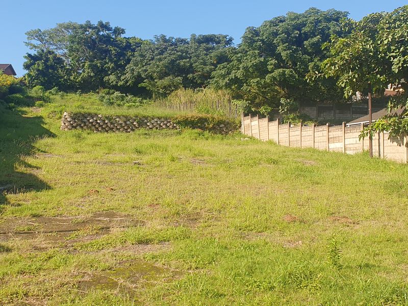 Bluff Development Opportunity - Photo 2