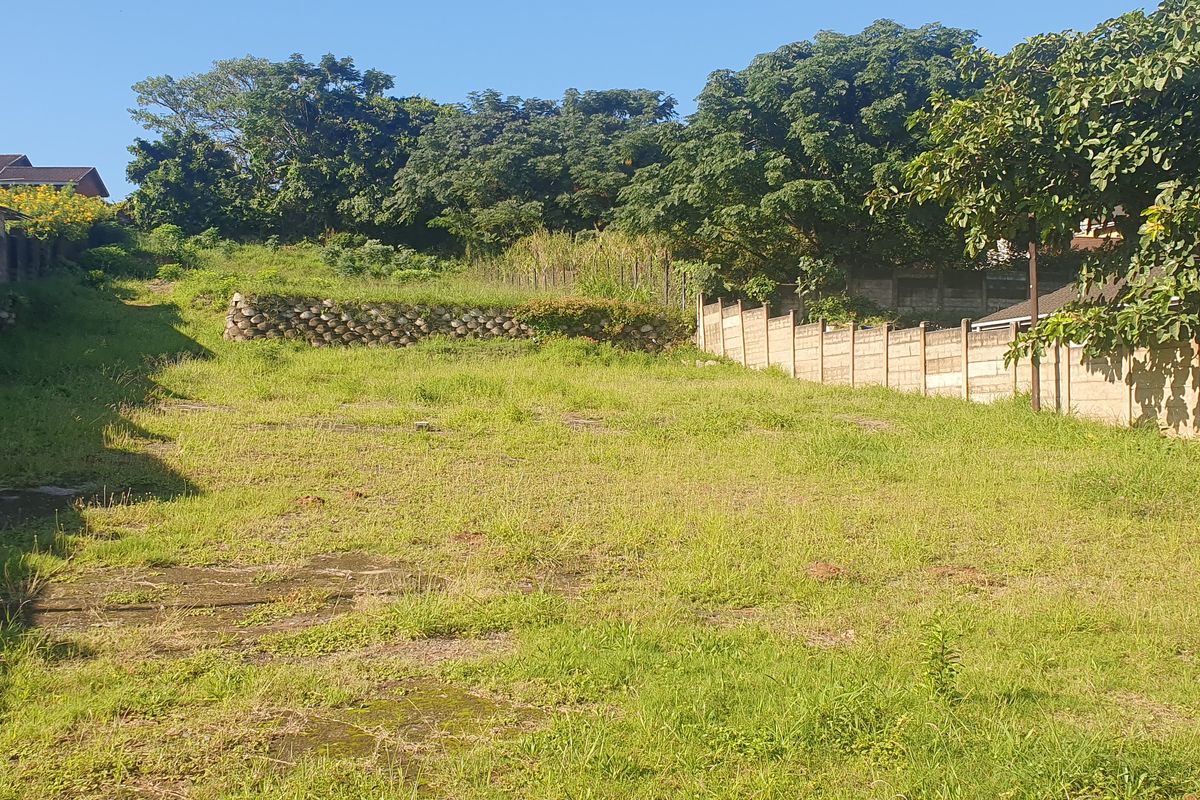 Bluff Development Opportunity - Photo 2
