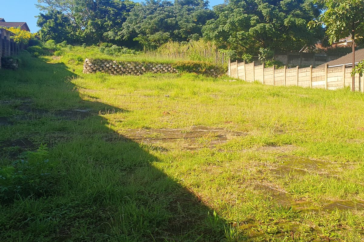 Bluff Development Opportunity - Photo 3