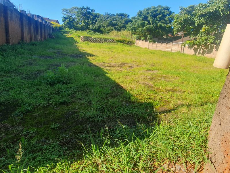 Bluff Development Opportunity - Photo 10