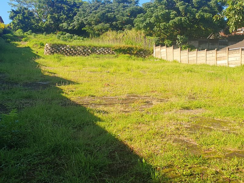Bluff Development Opportunity - Photo 9